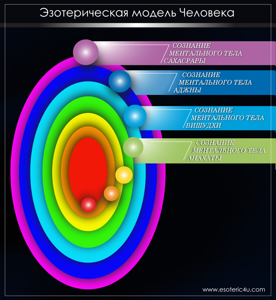 Тонкие тела, аура, кокон человека, сознание разных тел, энергетическая схема строения ауры